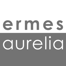 ERMES