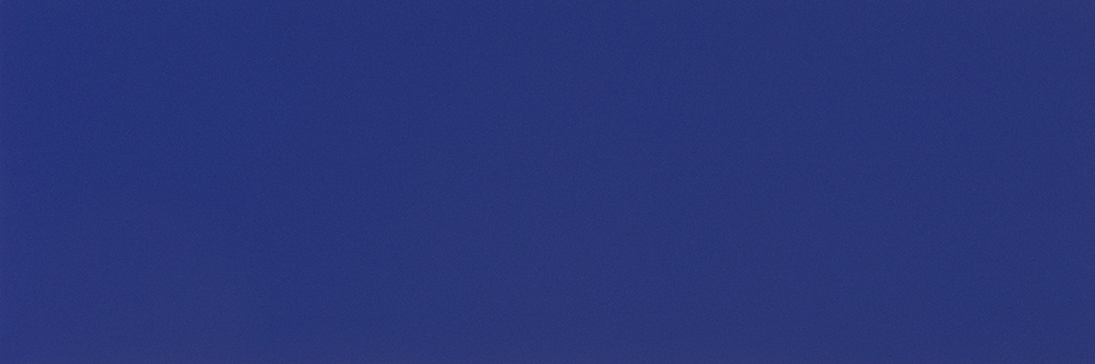 JOLLY 20x60 cm