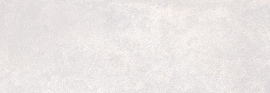 Faïence CARCONCRETE 20x60 cm