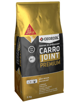 CARROJOINT PREMIUM Mortier pour joints fins sac de 5 kg