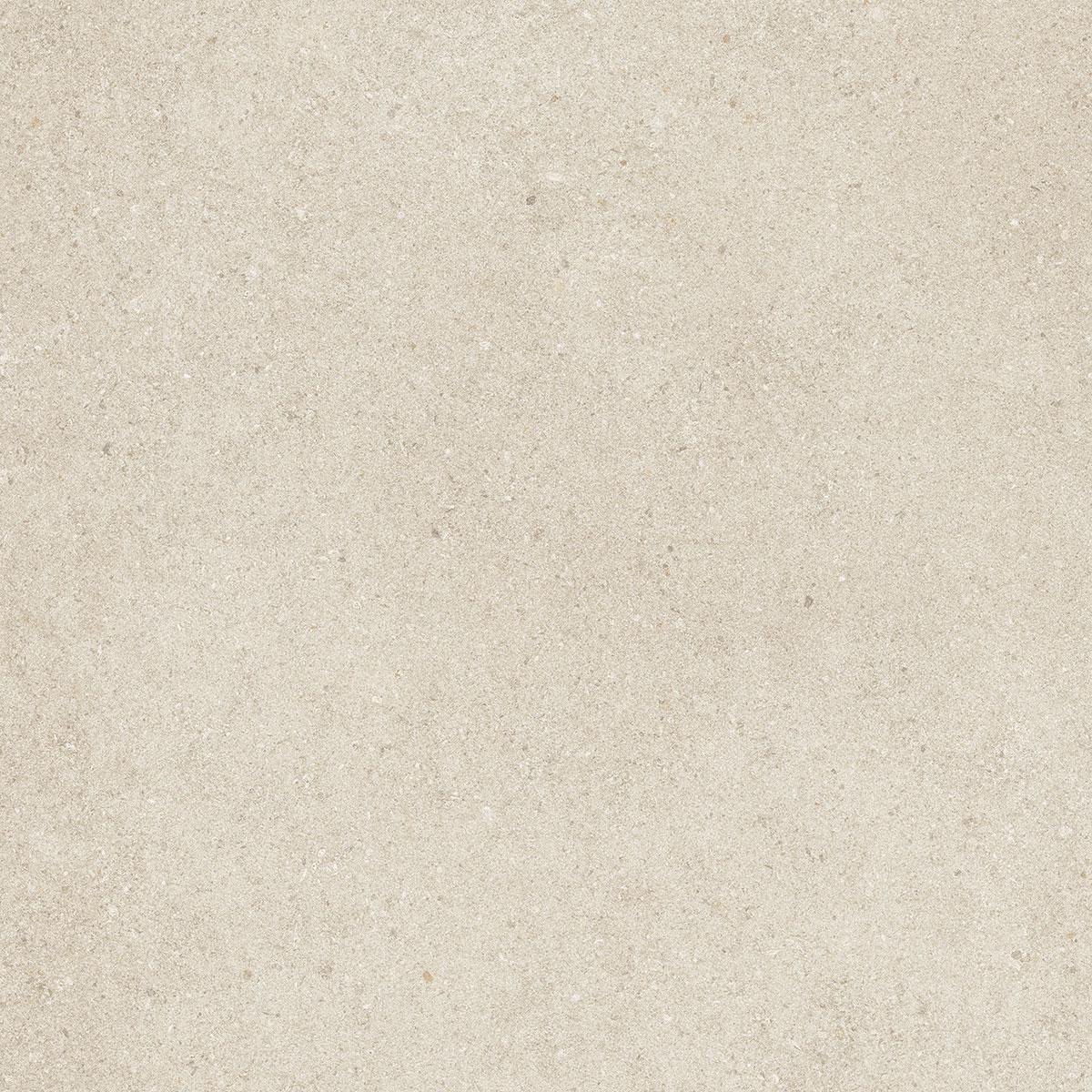 Carreau de sol DOLCE 60X60 RT Carreau de sol DOLCE 60X60 RT