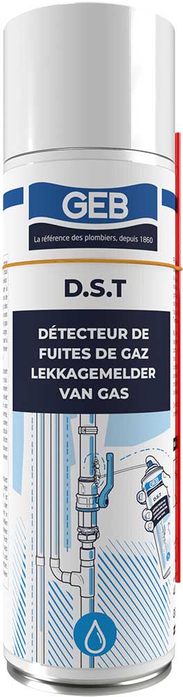 Détecteur de fuites de gaz